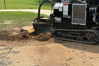 Stump Grinding/Removal: